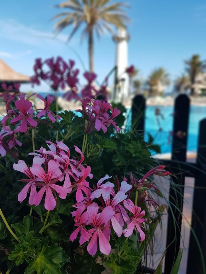 Ocean Bliss Apartman Playa Del Aguila  Kültér fotó